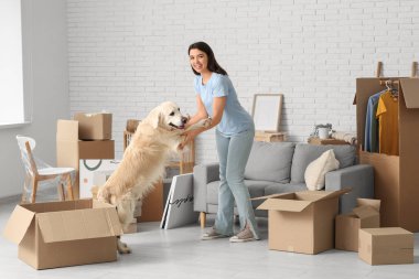 Genç mutlu bir kadın ve kutuları olan sevimli Labrador köpeği taşınma gününde eğleniyorlar.