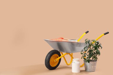 Bitki, konserve ve bej arka planda el arabası.