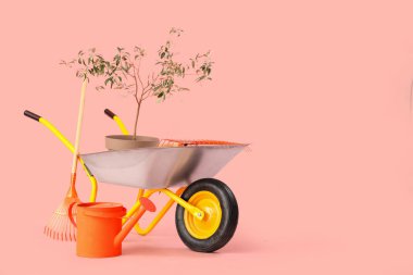 Bitki, sulama kutusu, pembe arka planda tırmık ve el arabası