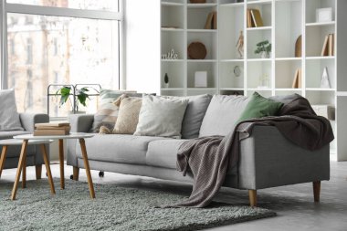 Kareli kanepeler, yastıklar ve oturma odasında kitaplar olan kahve masası.