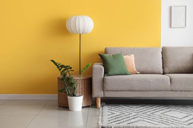 Oturma odasının içinde yumuşak kanepe, lamba ve bitki