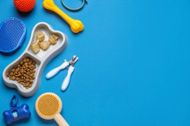 Kemik şeklinde yemek kasesi ve mavi arka planda farklı evcil hayvan aksesuarları.