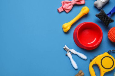 Yemek kasesi ve mavi arka planda farklı hayvan aksesuarları.