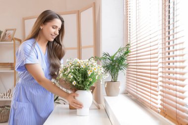 Oturma odasındaki klozete vazo ve papatya koyan genç kadın.