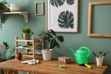 Bahçecilik aletleri ve atölyedeki bitkiler.