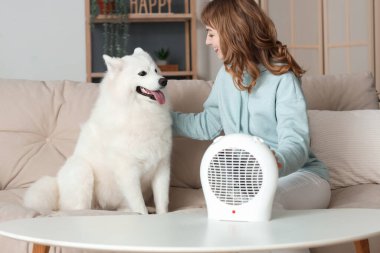 Evde elektrikli vantilatör ısıtıcısının yanında kanepede Samoyed köpeği ısıtan genç bir kadın.