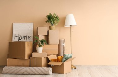 Taşındığı gün yeni oturma odasında karton kutular, resimler ve bitkiler.