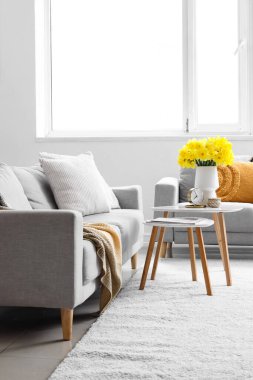 Rahat koltuklar, kahve masası ve vazo açık oturma odasında narsisli çiçekler.