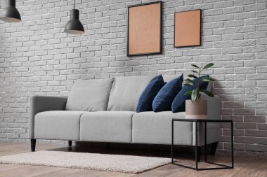 Rahat kanepesi, halısı ve bitkisi olan modern bir oda.