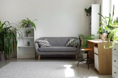 Interior of light office with workplace, sofa and green houseplants