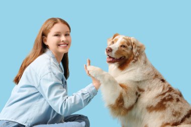 Genç bir kadın mavi arka planda Avustralya çoban köpeğinin patisini tutuyor.