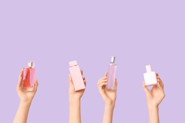 Leylak arka planında farklı parfüm şişeleri olan kadın elleri.