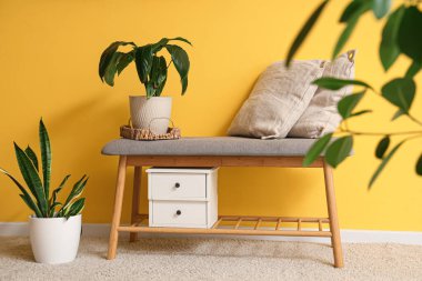 Güzel odada sarı duvarın yanında rahat bir bank, yastıklar ve bitkiler.