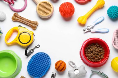 Yemek kasesinden yapılmış çerçeve ve beyaz arka planda farklı evcil hayvan aksesuarları.