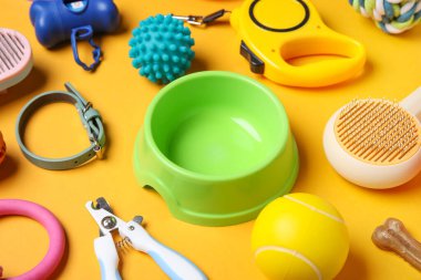 Yemek kasesi ve turuncu arka planda farklı evcil hayvan aksesuarları.