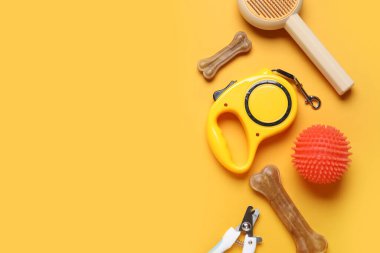 Turuncu arka planda kurşun ve farklı evcil hayvan aksesuarları