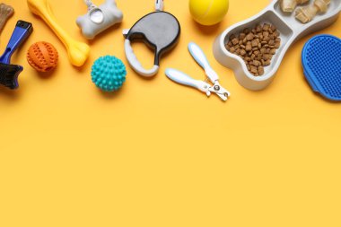 Kemik şeklinde yemek kasesi ve turuncu arka planda farklı hayvan aksesuarları.