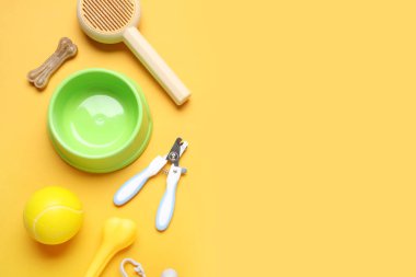 Yemek kasesi ve turuncu arka planda farklı evcil hayvan aksesuarları.