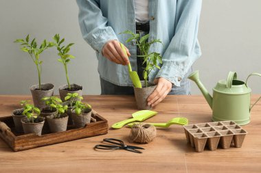 Ahşap masaya çiçek tohumu eken bir kadın.