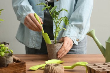 Ahşap masaya çiçek tohumu eken bir kadın.