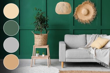 Interior of cozy living room with sofa, stepladder and houseplants