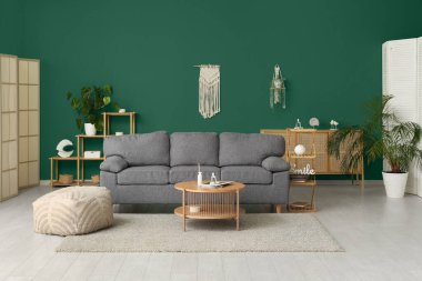 Kanepesi, sehpası, raf ünitesi ve yeşil duvarın yanındaki tuvaleti olan şık bir oturma odası.