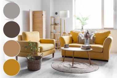 Oturma odasının içinde kanepe, koltuk ve katlanır ekran var. Farklı renk desenleri