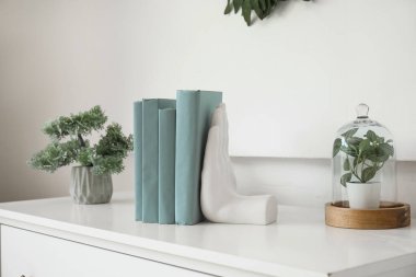 Odasında klozet bitkileri olan kitaplar için şık bir tutucu