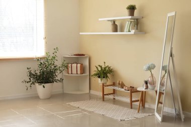 Ev bitkileri ve aynalı modern koridorun şık iç tasarımı