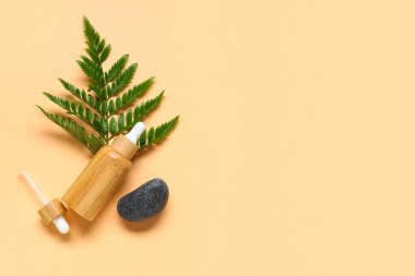 Gerekli yağ şişesi, eğrelti otu yaprağı ve renkli arka planda taş bileşimi