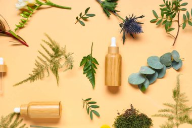 Gerekli yağ şişeleri ve renk arkaplan üzerinde farklı bitkiler bileşimi