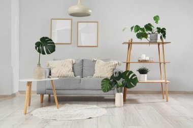 Gri kanepeli ve canavar yapraklı şık bir oturma odası.