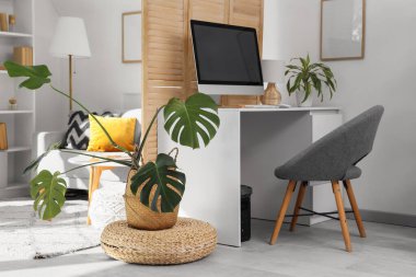 Çalışma alanı, katlama ekranı ve bitkileri olan ofis içi