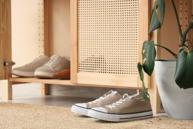 Koridorda kadın ayakkabıları, yakın plan.