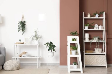 Oturma odasının içinde raf üniteleri ve yeşil bitkiler var.