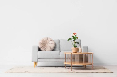 Oturma odasının iç tarafındaki kanepenin yanındaki masada güzel bir Anthurium çiçeği.