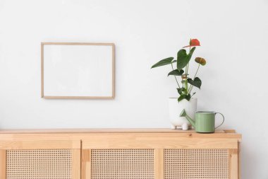 Oturma odasındaki dolapta sulama tenekesi olan güzel bir Anthurium çiçeği.