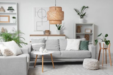 Gri kanepeler, raf üniteleri ve bitkilerle aydınlık oturma odasının içinde.