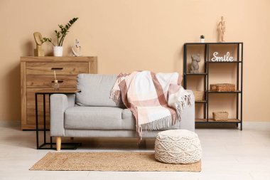 Oturma odasının içinde gri kanepe, klozet ve kahverengi duvarın yanındaki raf ünitesinde ev dekorasyonu var.