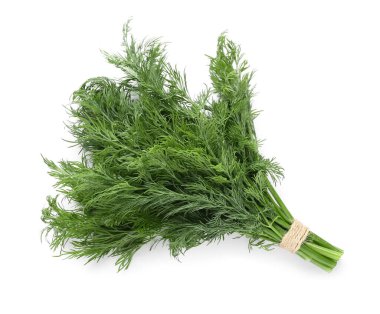 Beyaz arka planda bir demet taze yeşil dereotu