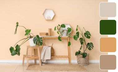 Masa, kitaplar ve Monstera bitkileriyle dolu bir oda. Farklı renk desenleri