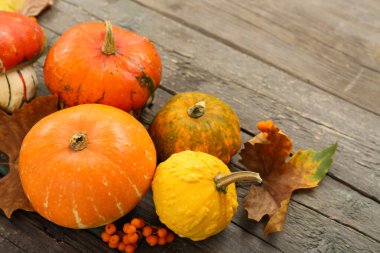 Balkabakları, viburnum ve ahşap arka planda yapraklarla sonbahar kompozisyonu