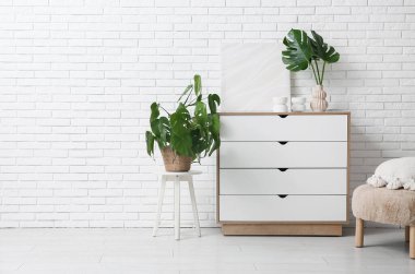 Çekmeceli vazoda tropikal canavar yaprakları olan modern oturma odası.