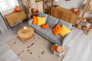 Oturma odası içi gri kanepe, sehpa ve farklı balkabaklarıyla dolu hasır sepet.