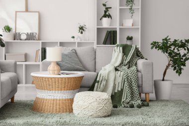 Gri kanepesi, raf ünitesi ve ev bitkileriyle modern oturma odasının içinde.