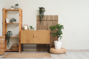 Ev bitkisi, ahşap çekmeceler ve şık oturma odasının iç tarafında katlanan perdeler.