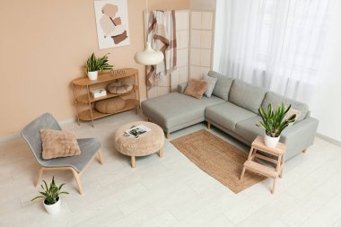 Koltuk, sandalye, puf ve sansevieria çiçekleri oturma odasının içinde.