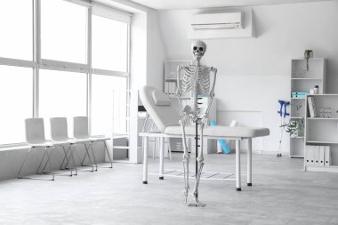 İnsan iskeleti modeli ve kanepesi olan hafif bir hastane.