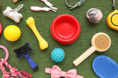 Yemek kasesi ve yeşil çimenlikte farklı hayvan aksesuarları.