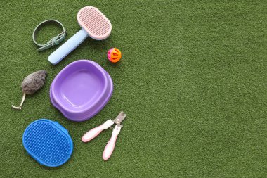 Yemek kasesi ve yeşil çimenlikte farklı hayvan aksesuarları.